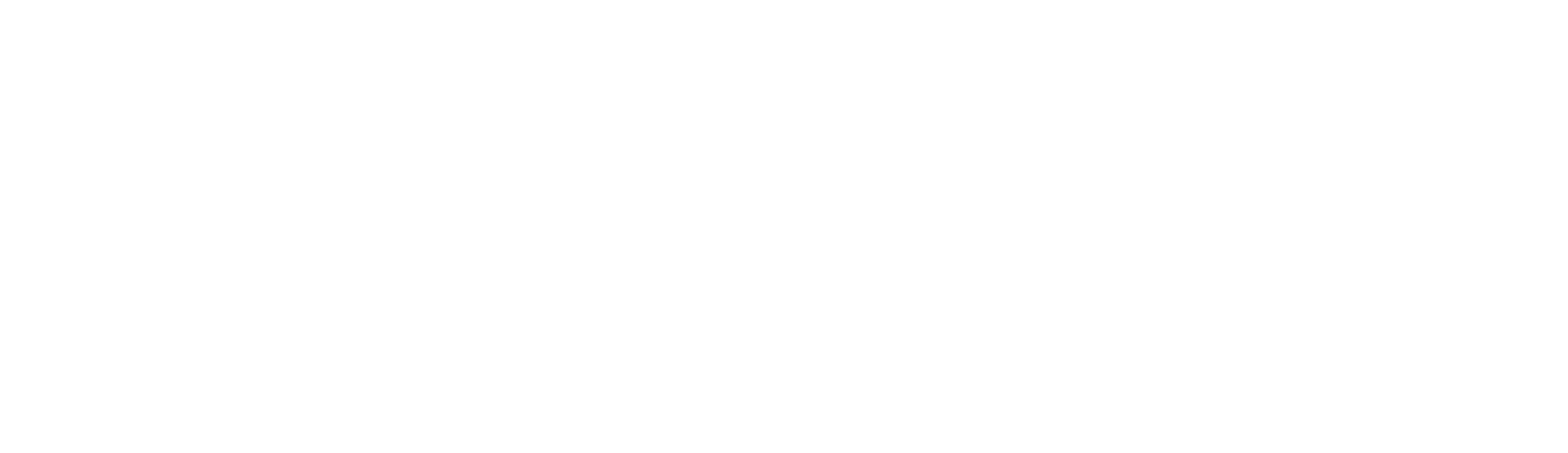 АИП России